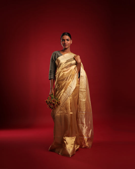 Pure Katan Parmesan Gold Tissue Saree with Macaroon Gold Border